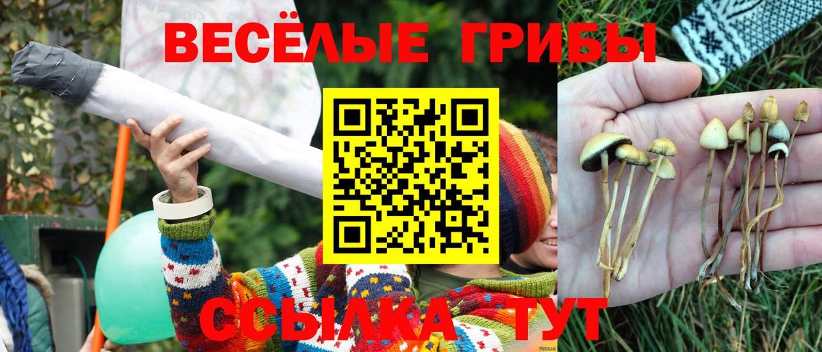 Галлюциногенные грибы Magic Shrooms  Вход с VPN  Минеральные Воды 