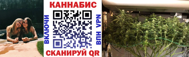 Бошки Шишки конопля  мориарти официальный сайт  Минеральные Воды  где продают  